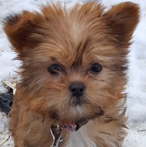 Meet your Posher, Kristi